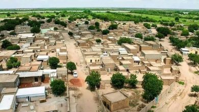 ولاية الجزيرة